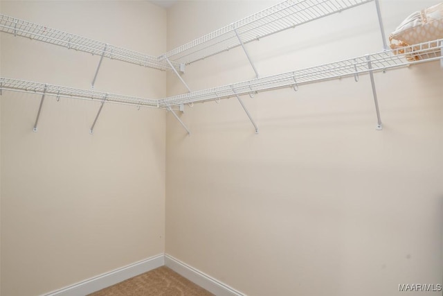 walk in closet with carpet