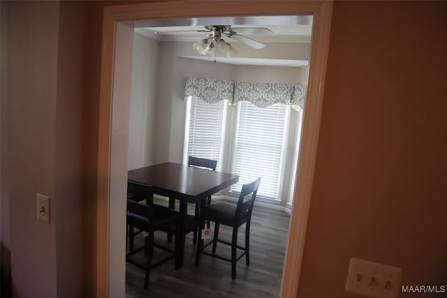 dining area featuring dark wood-style flooring, ceiling fan, and ornamental molding