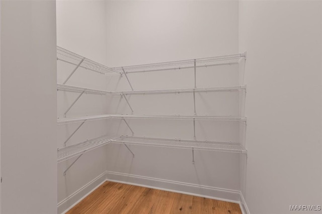 spacious closet featuring wood finished floors