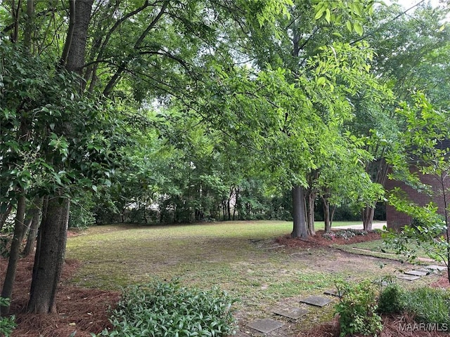 view of yard