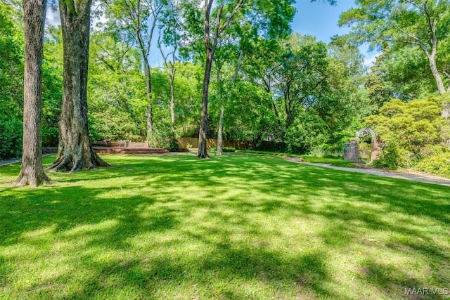 view of yard