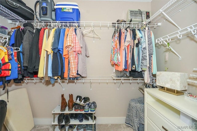 walk in closet with carpet