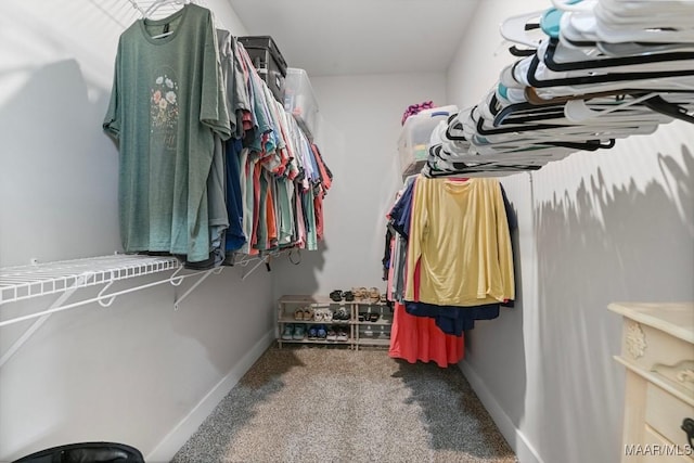 spacious closet with carpet