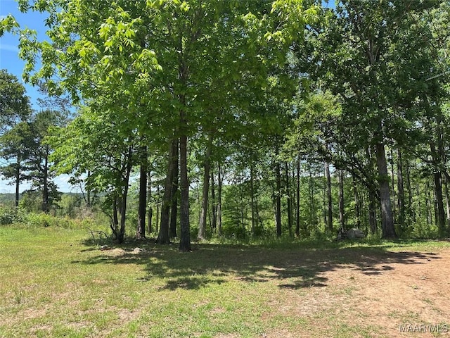 view of landscape