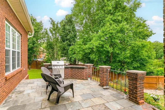 view of patio / terrace with a fenced backyard and area for grilling