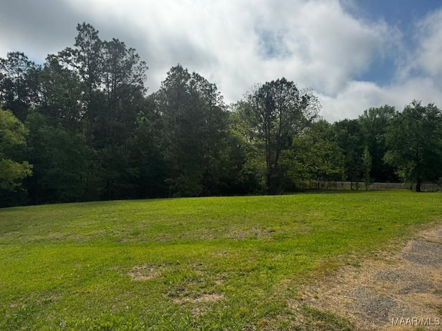 view of yard with a wooded view