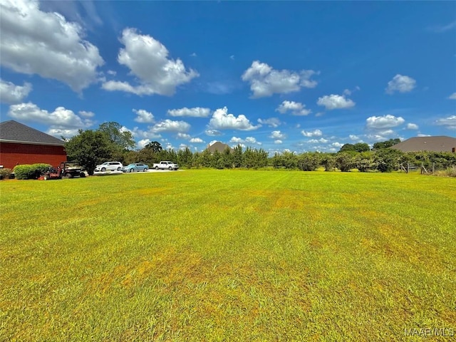 view of yard
