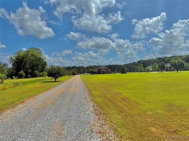 view of street featuring driveway