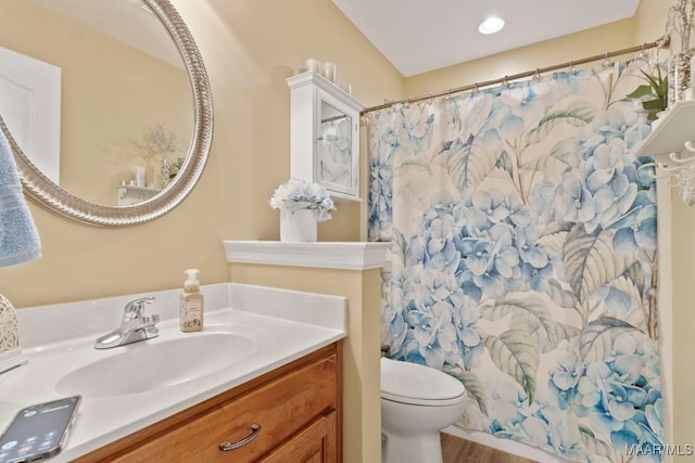 full bath featuring vanity, toilet, and curtained shower