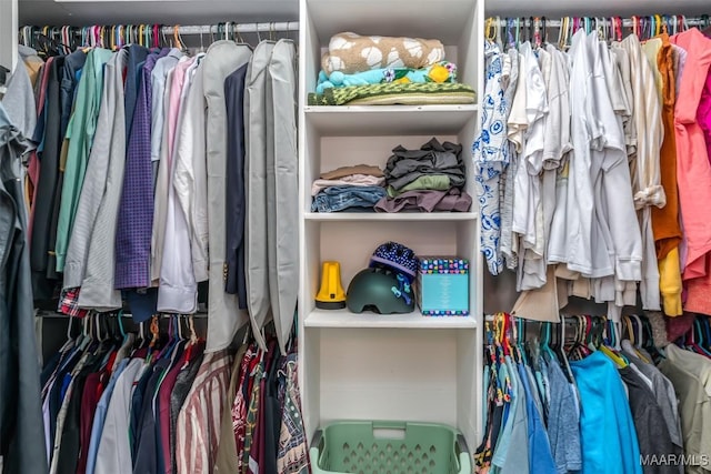 view of walk in closet
