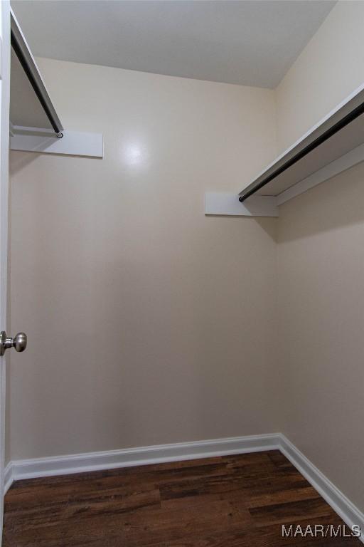 walk in closet with dark wood-type flooring