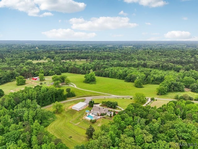 1750 County Road 461, Clanton, AL 35046 - bird's eye view of a heavily wooded area