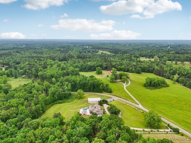1750 County Road 461, Clanton, AL 35046 - drone / aerial view of a forest
