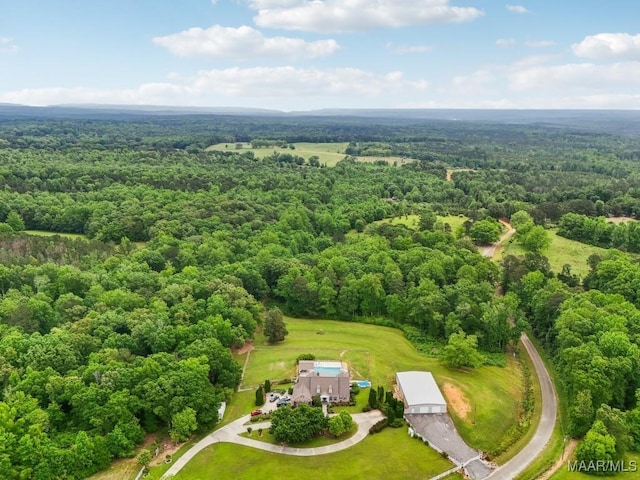 1750 County Road 461, Clanton, AL 35046 - aerial view of a forest