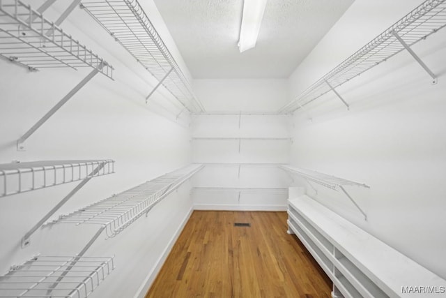 1750 County Road 461, Clanton, AL 35046 - walk in closet featuring light wood finished floors