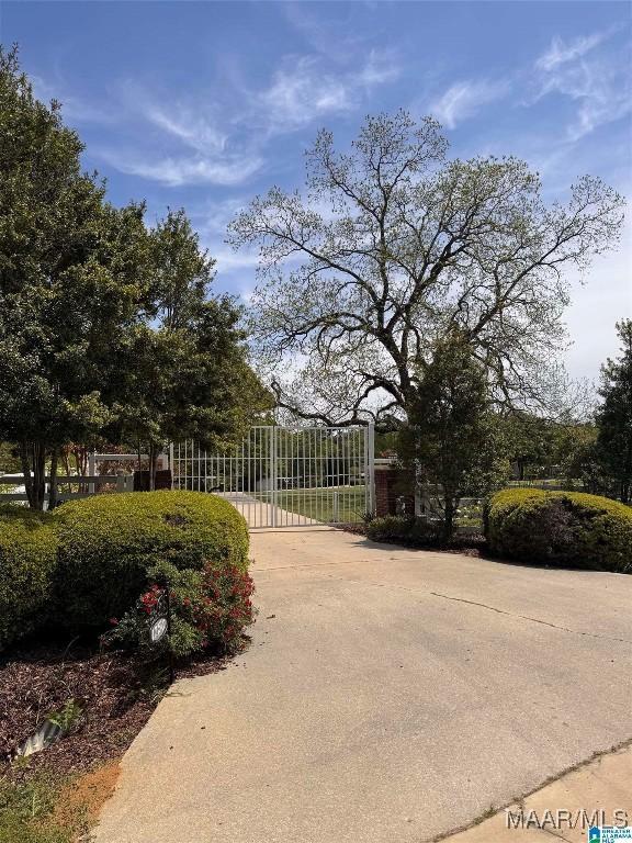 1750 County Road 461, Clanton, AL 35046 - view of concrete surface with a gate and a gated entry