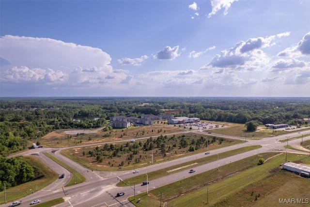 203 New Centre Dr, Enterprise, AL 36330 - photo 2