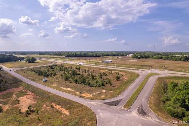 203 New Centre Dr, Enterprise, AL 36330 - photo 3