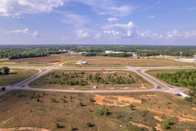 203 New Centre Dr, Enterprise, AL 36330 - photo 4