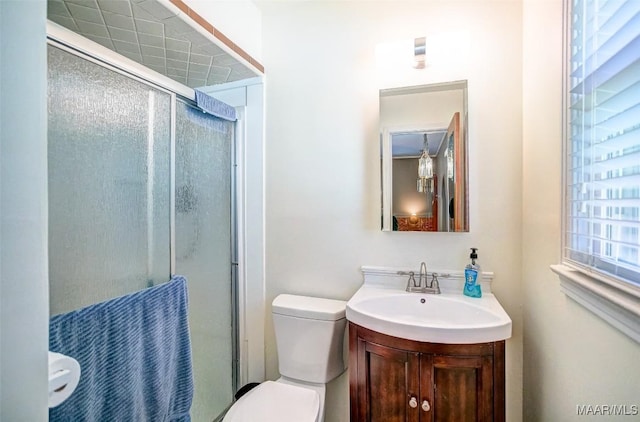 bathroom featuring vanity, a stall shower, and toilet