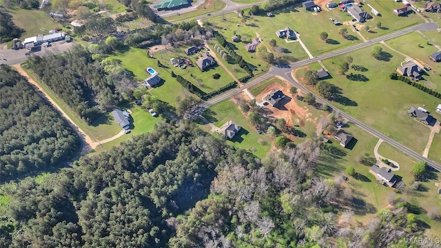 bird's eye view