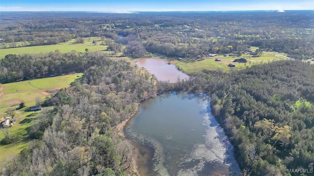 birds eye view of property with a water view and a forest view