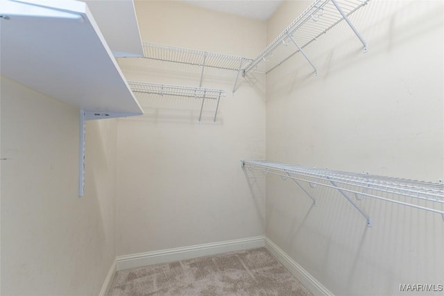 603 Coleman Way, Prattville, AL 36067 - spacious closet with light colored carpet