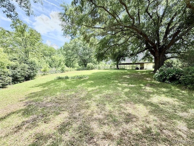 109 Lashley Dr, Selma, AL 36701 - view of yard