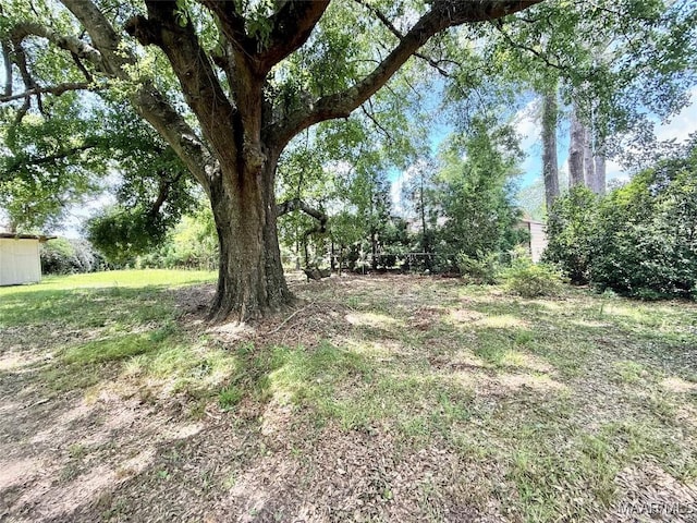 109 Lashley Dr, Selma, AL 36701 - view of yard