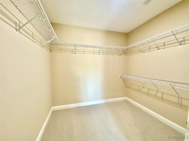 walk in closet featuring carpet flooring