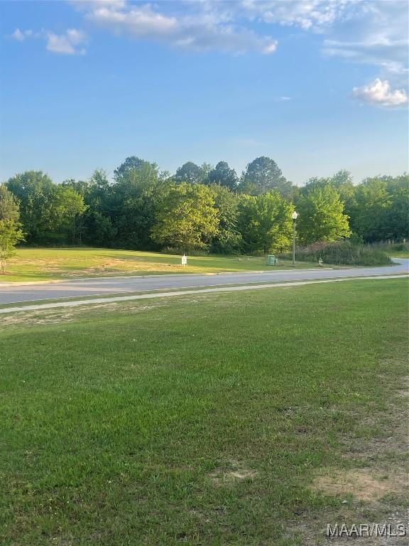 1305 Cherry Tree Ln, Prattville, AL 36066