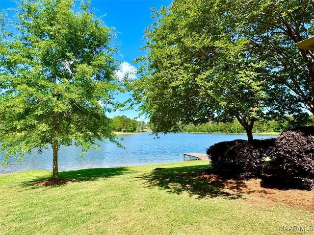 155 Edge Wood Ct, Mathews, AL 36052 - water view