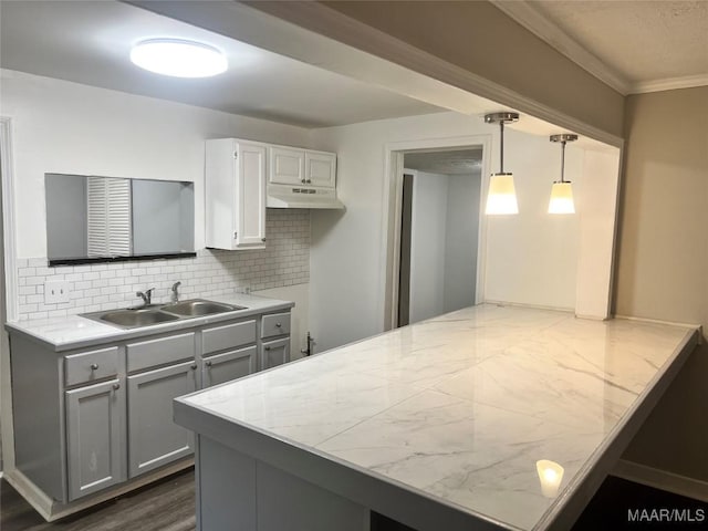 kitchen featuring under cabinet range hood, ornamental molding, a sink, a peninsula, and decorative backsplash