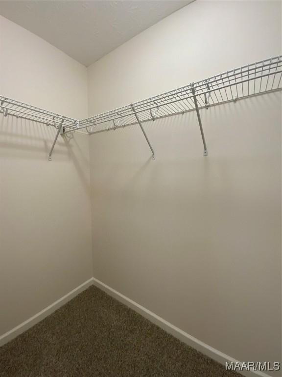 1939 Cedar Ridge Loop, Prattville, AL 36067 - walk in closet featuring dark colored carpet