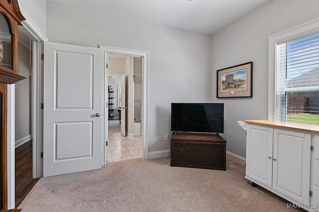 interior space with baseboards and light carpet