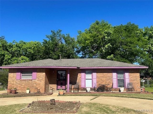 5545 E Shades Valley Dr, Montgomery, AL 36108 - single story home with roof with shingles, brick siding, and a front lawn