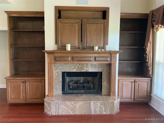 details featuring a fireplace with raised hearth and wood finished floors