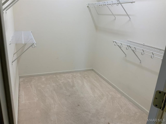 walk in closet featuring carpet flooring