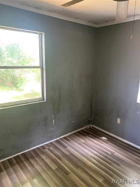 unfurnished room with wood finished floors and plenty of natural light