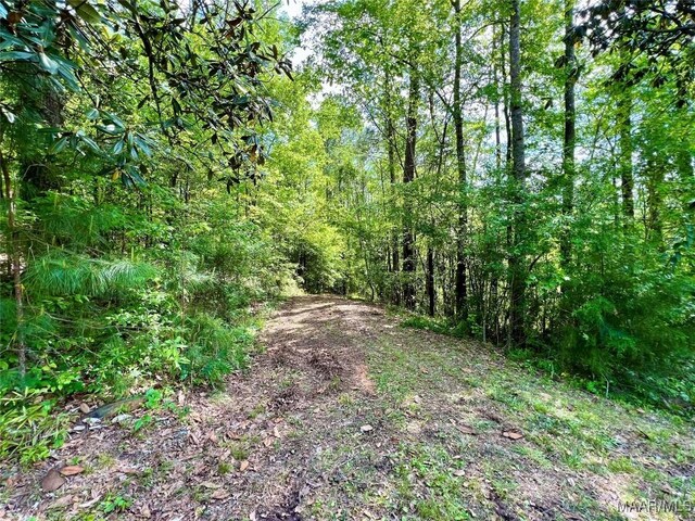 2849 Titus Rd, Titus, AL 36080 - photo 10