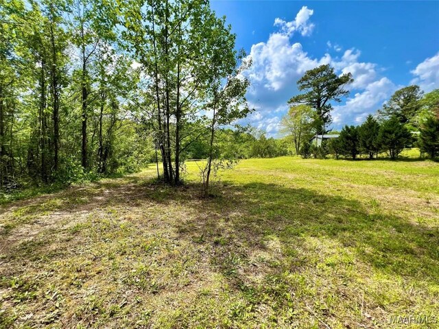 2849 Titus Rd, Titus, AL 36080 - photo 11