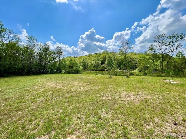2849 Titus Rd, Titus, AL 36080 - photo 16