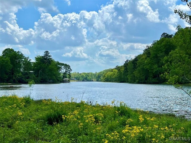 2849 Titus Rd, Titus, AL 36080 - photo 9