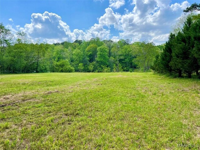 2849 Titus Rd, Titus, AL 36080 - photo 14