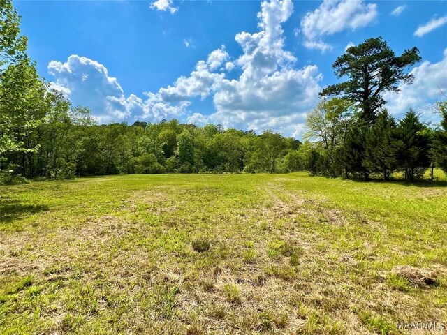 2849 Titus Rd, Titus, AL 36080 - photo 12