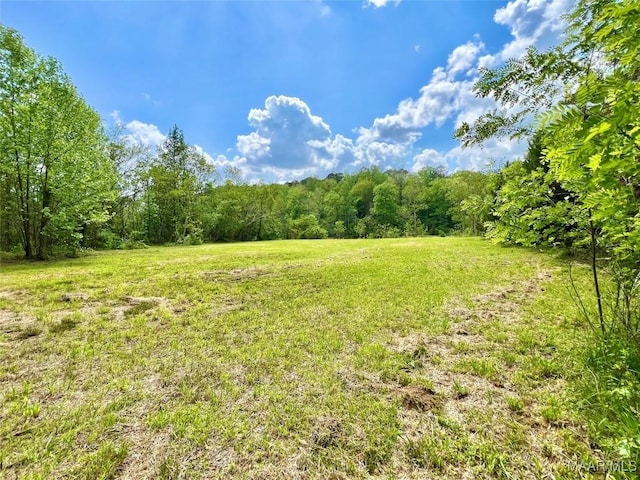 2849 Titus Rd, Titus, AL 36080 - photo 13