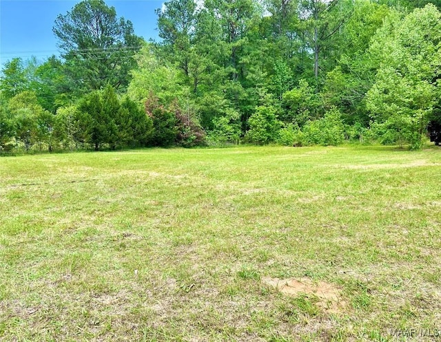 2849 Titus Rd, Titus, AL 36080 - photo 15