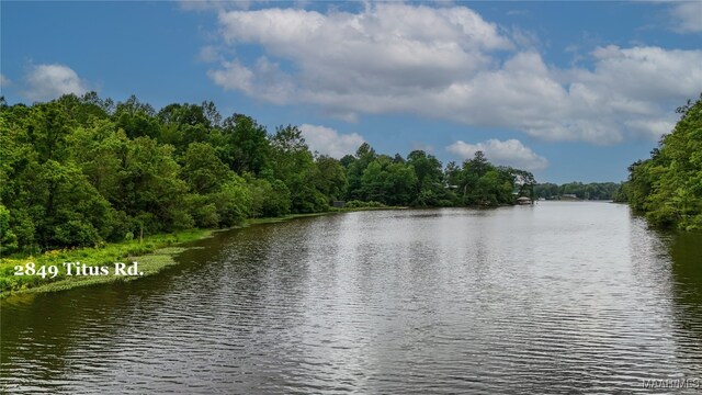 2849 Titus Rd, Titus, AL 36080 - photo 8