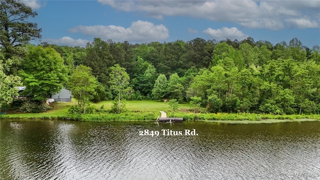 2849 Titus Rd, Titus, AL 36080 - photo 1