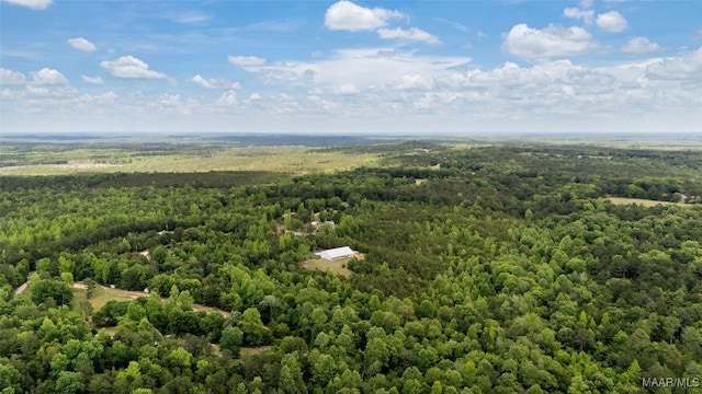 3055 Go Kart Rd, Marbury, AL 36051 - photo 56